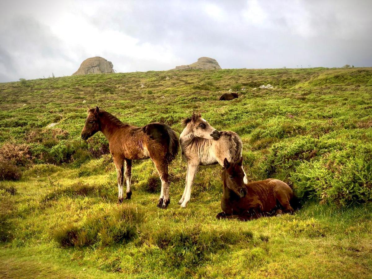 Haytor Court, Haytor, Dartmoor Apartman Kültér fotó