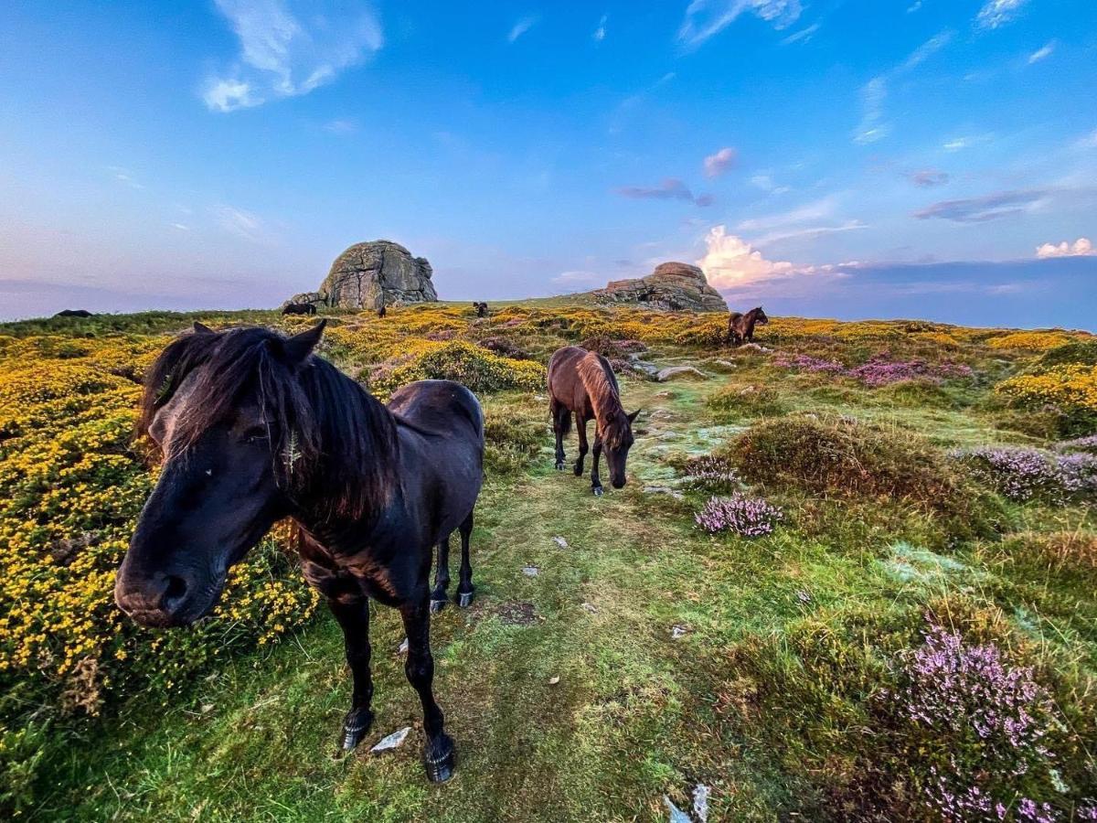Haytor Court, Haytor, Dartmoor Apartman Kültér fotó